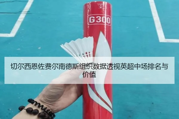 切尔西恩佐费尔南德斯组织数据透视英超中场排名与价值