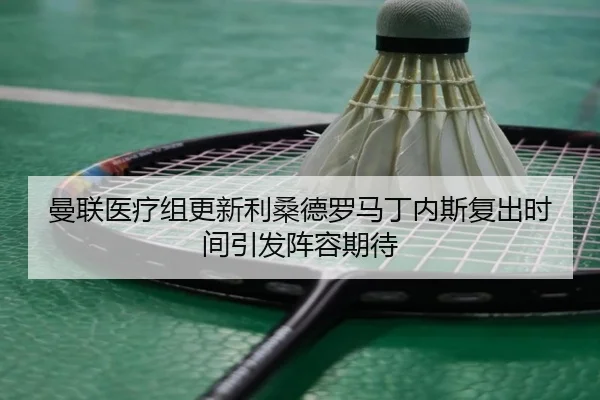 曼联医疗组更新利桑德罗马丁内斯复出时间引发阵容期待 - kaiyun