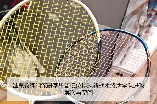 雄鹿教练组深研字母哥低位持球新战术激活全队进攻层次与空间